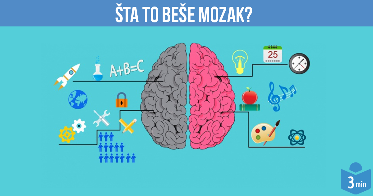 Šta to beše MOZAK?