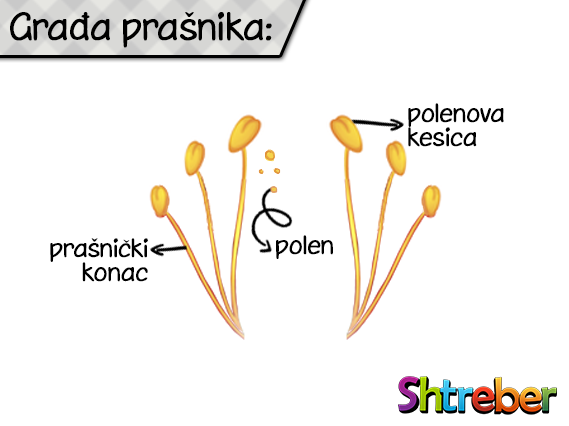 gradja-prasnika