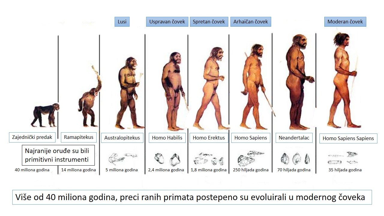 Podrijetlo čovjekaprezentacija