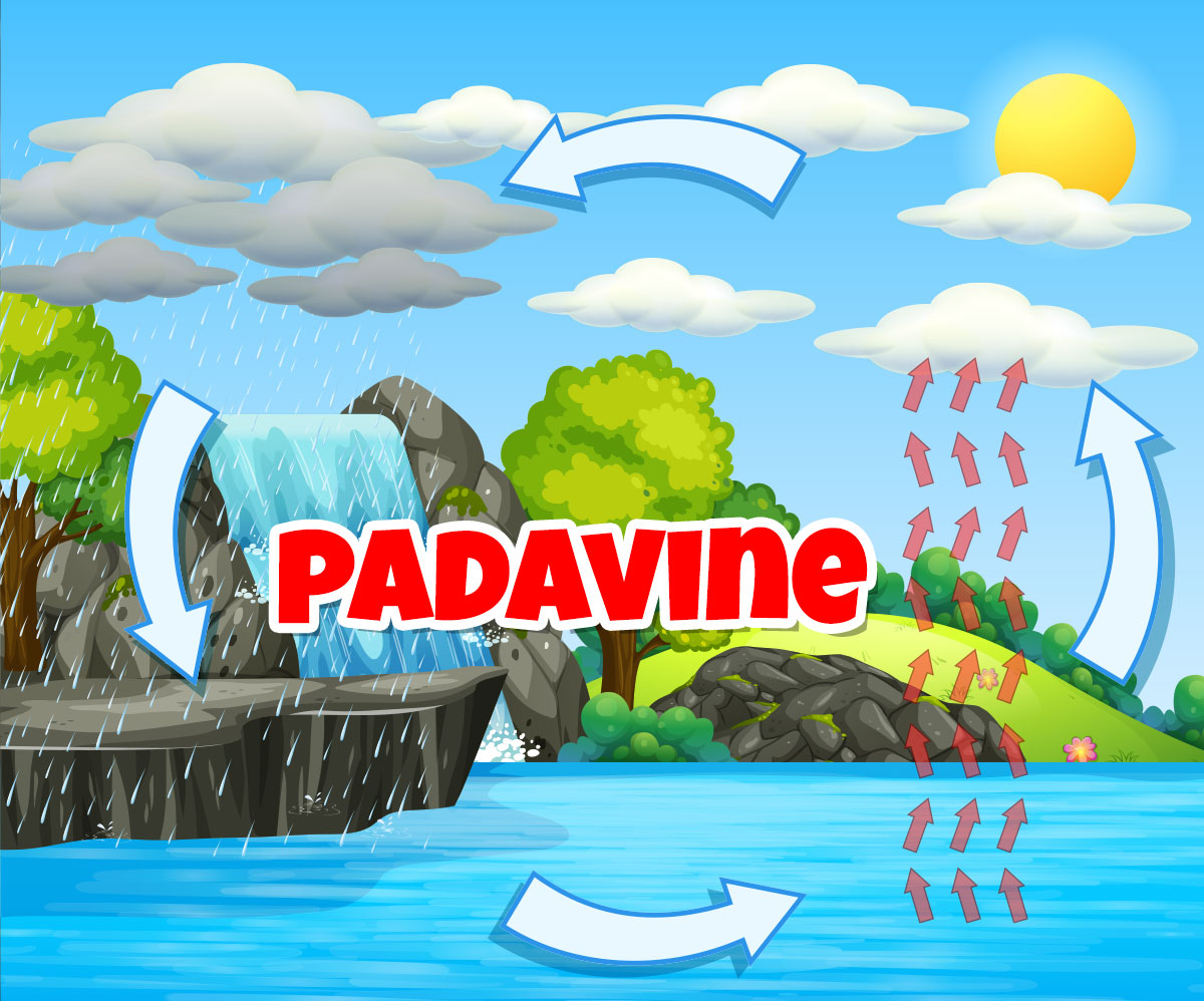 padavine