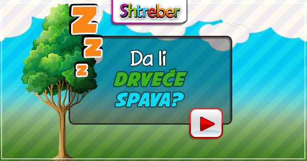 Da-li-drvece-spava_4