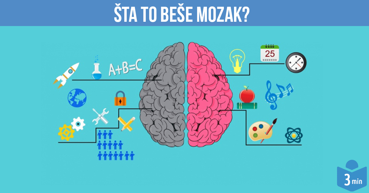 sta-to-bese-mozak-min