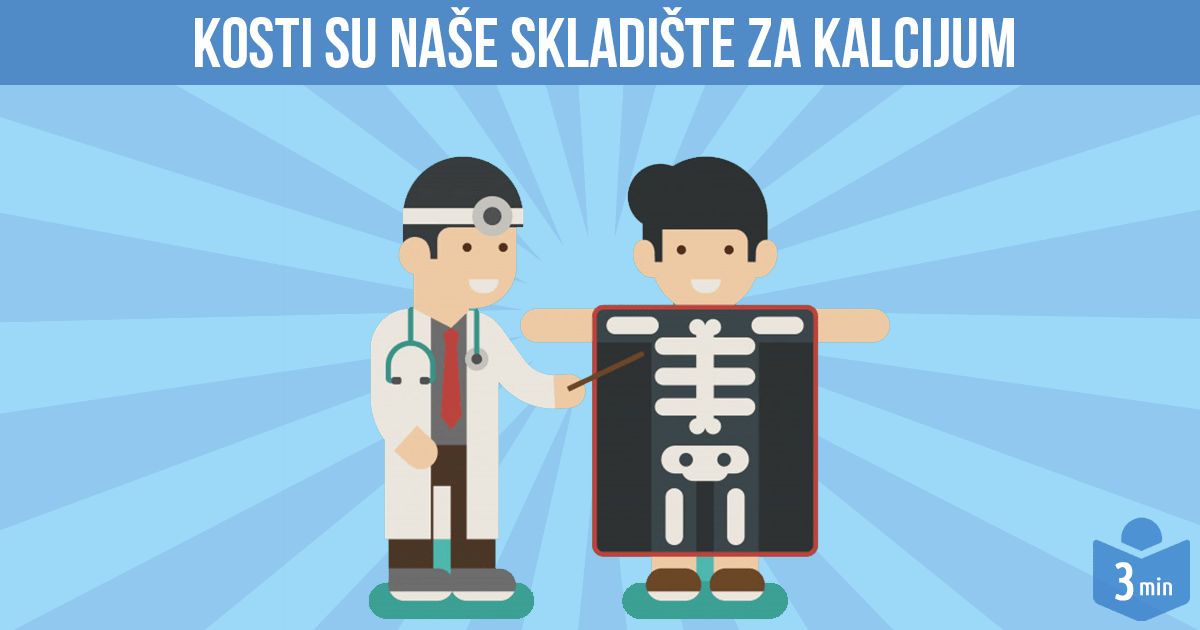 kosti-su-nase-skladiste-za-kalcijum