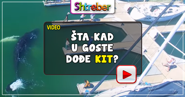 kad-u-goste-dodje-kit